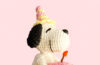 Snoopy with Cake for Birthday Party Crochet Pattern (1)