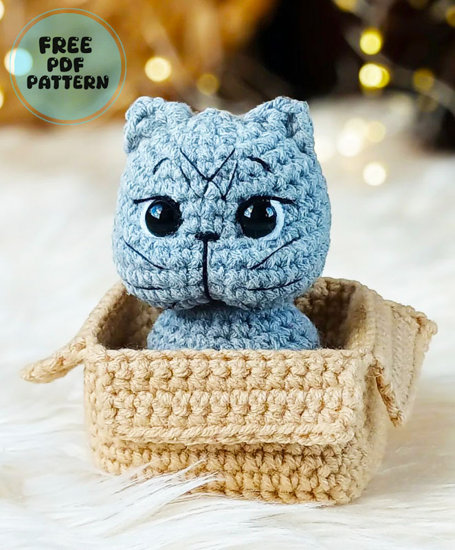 Cat in The Box Crochet PDF Free Pattern